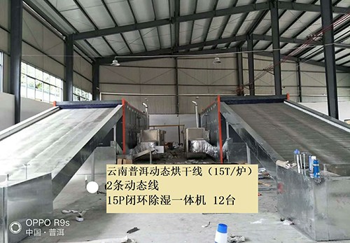 云南普洱动态烘干线